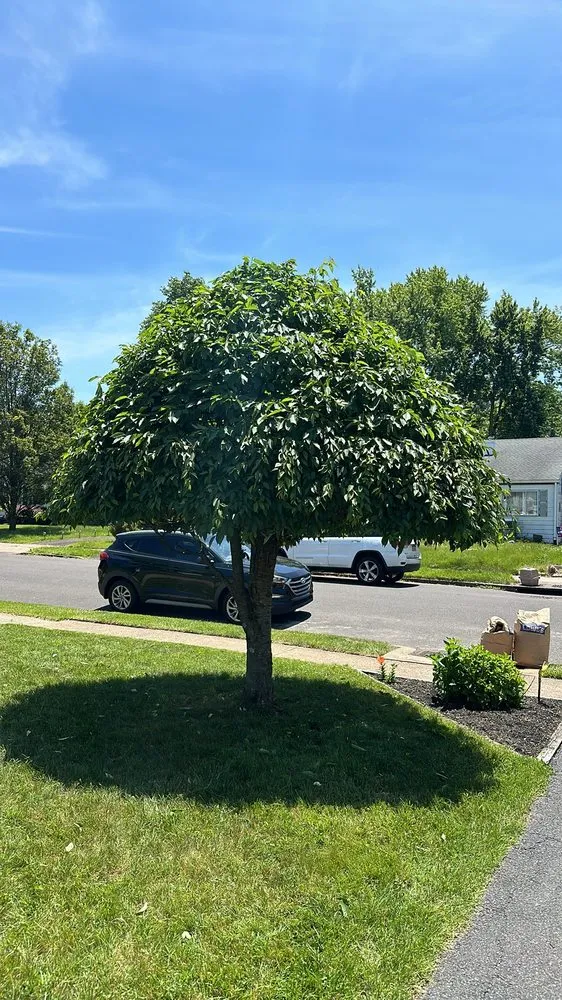 Affordable yard cleanup service for residential properties across Cherry Hill, NJ - Fishgold Landscaping