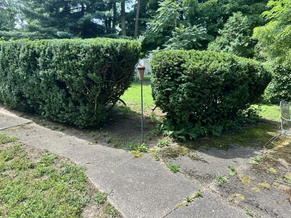 Top-rated landscape installation for outdoor upgrades in Cherry Hill, NJ by Fishgold Landscaping