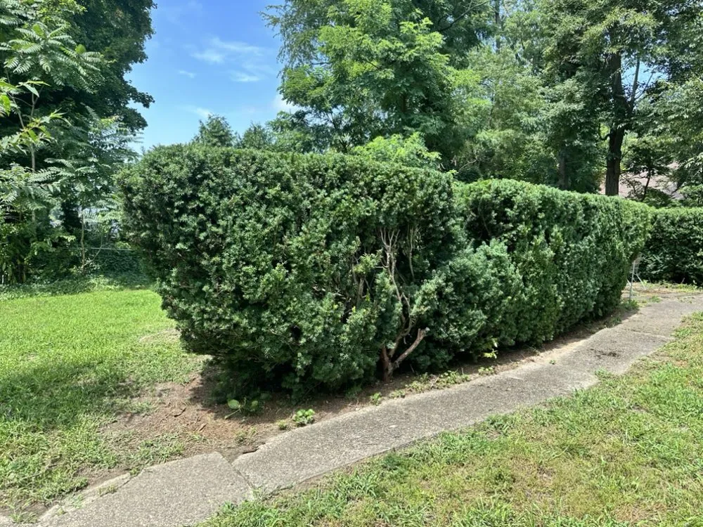 Expert lawn mowing service for year-round maintenance across Cherry Hill, NJ - Fishgold Landscaping