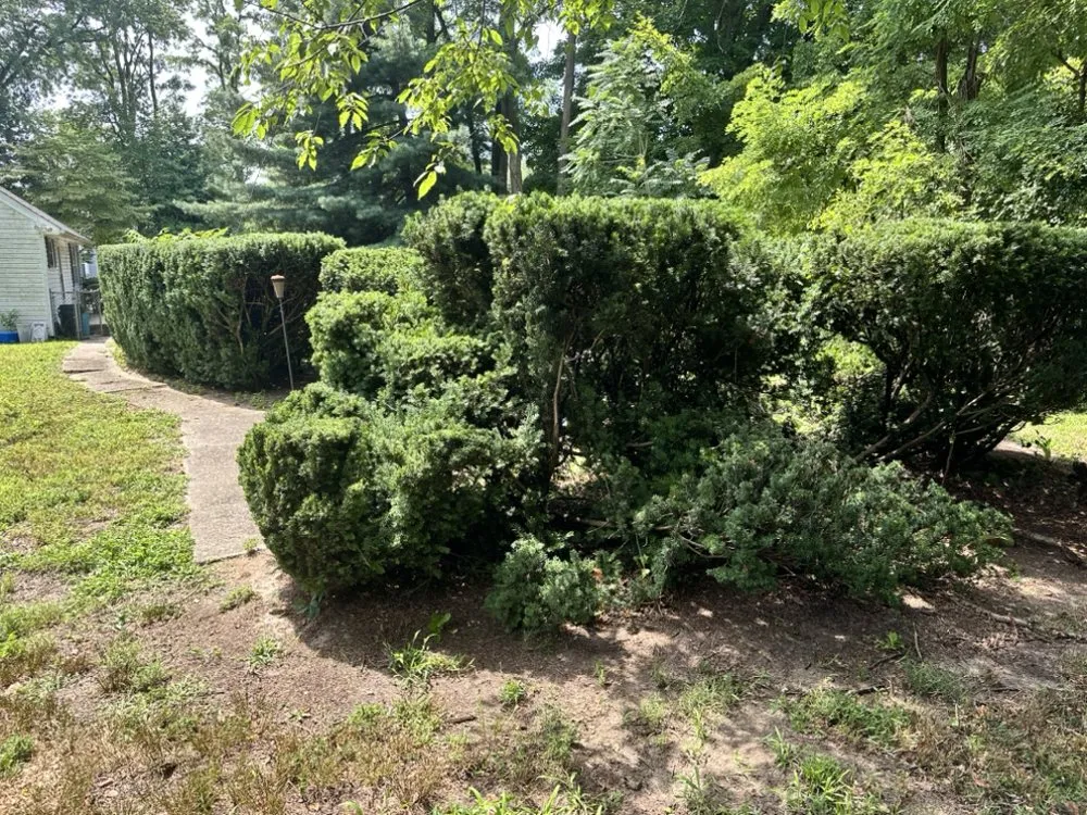 Professional lawn mowing service for outdoor upgrades across Cherry Hill, NJ - Fishgold Landscaping