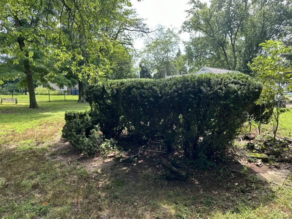 Custom landscaping services for residential properties across Cherry Hill, NJ - Fishgold Landscaping