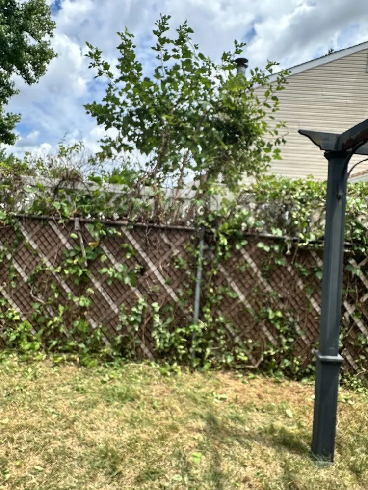 Affordable yard maintenance near you across Cherry Hill, NJ - Fishgold Landscaping