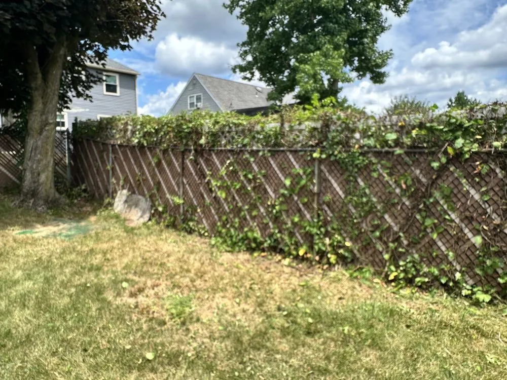 Professional garden landscaping in Cherry Hill, NJ by Fishgold Landscaping