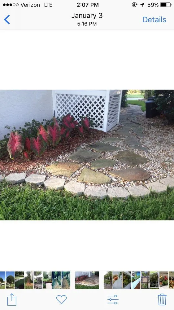 Top-rated residential landscaping near you in Lithia, FL by Fishhawk Landscape & Irrigation