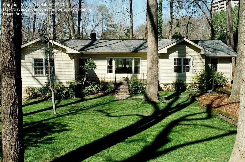 Custom lawn care service experts serving Lithia, FL - Fishhawk Landscape & Irrigation