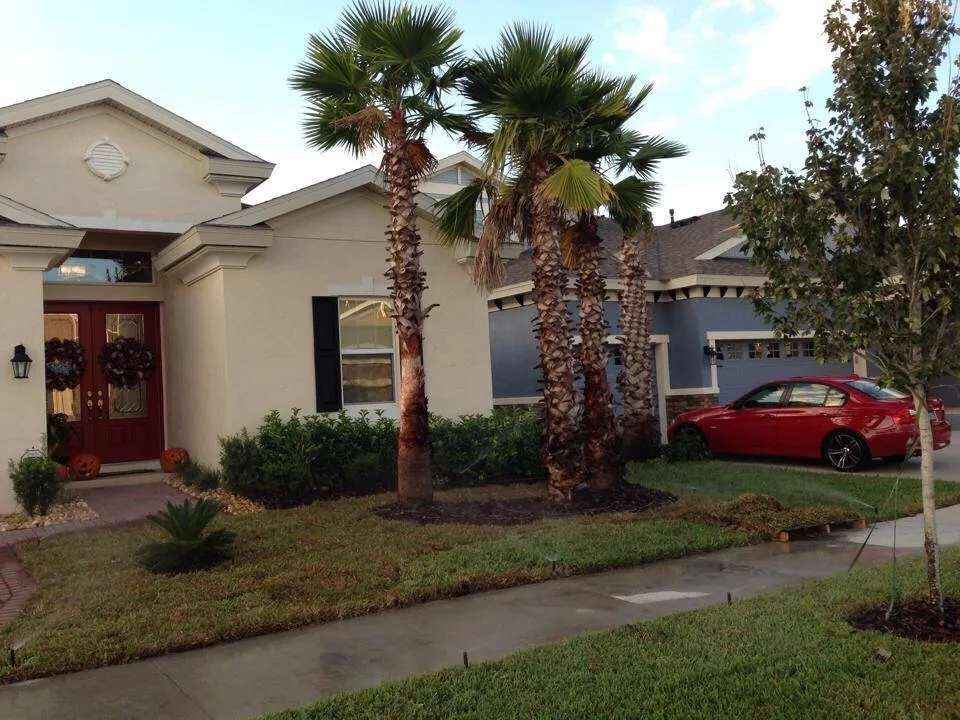 Expert yard cleanup service for year-round maintenance in Lithia, FL by Fishhawk Landscape & Irrigation