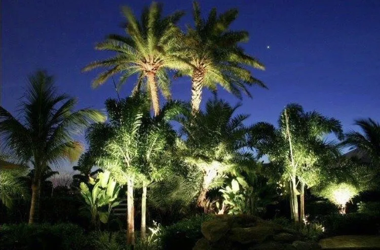 Custom yard maintenance in Lithia, FL - Fishhawk Landscape & Irrigation