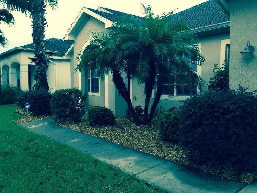 Custom landscape design in Lithia, FL - Fishhawk Landscape & Irrigation