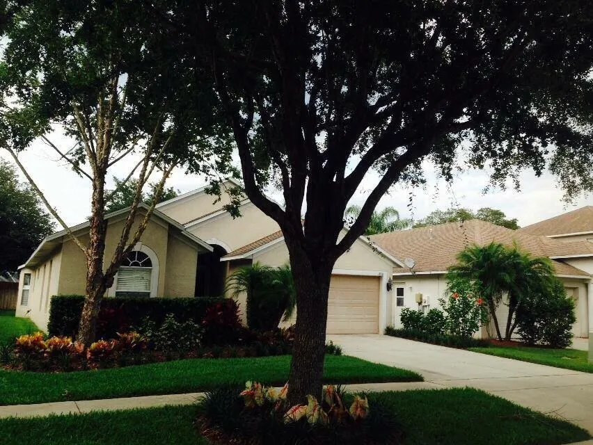 Reliable landscaping services for year-round maintenance across Lithia, FL - Fishhawk Landscape & Irrigation