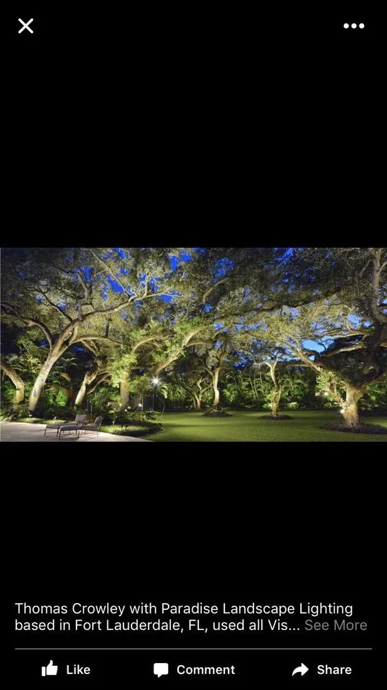 Top-rated outdoor landscaping experts serving Lithia, FL - Fishhawk Landscape & Irrigation