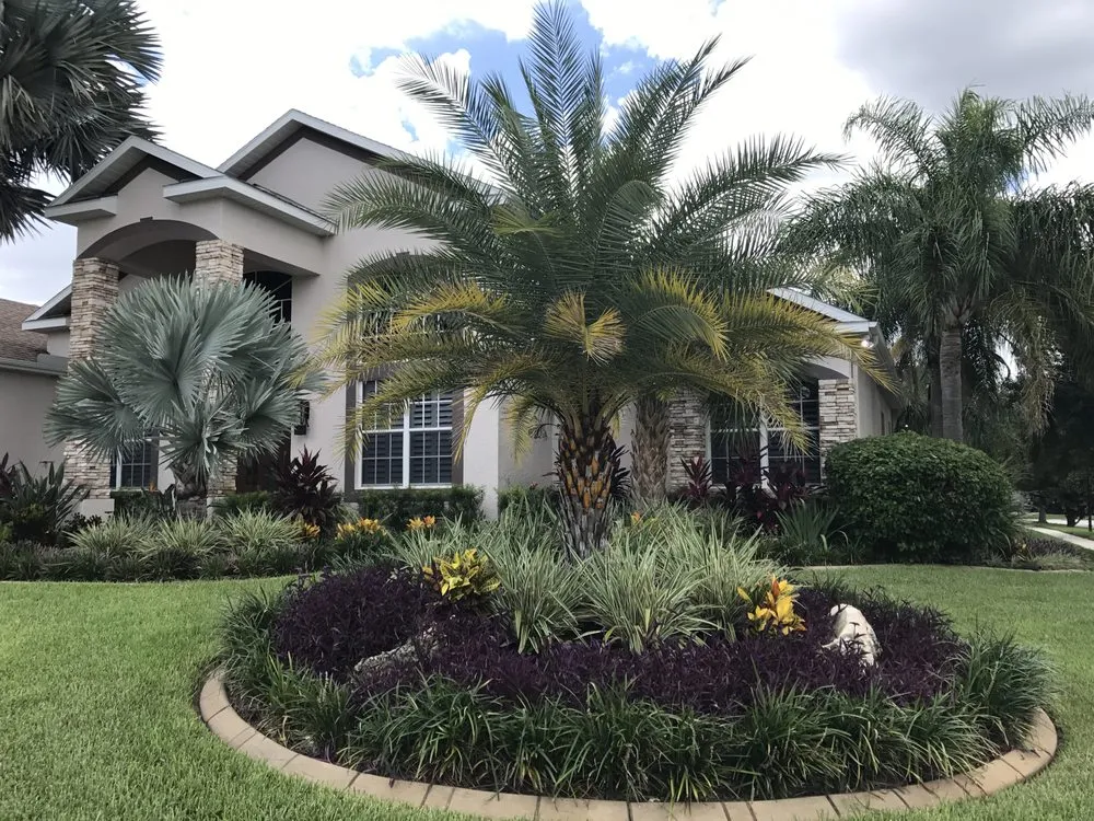Reliable yard maintenance for homes across Lithia, FL - Fishhawk Landscape & Irrigation