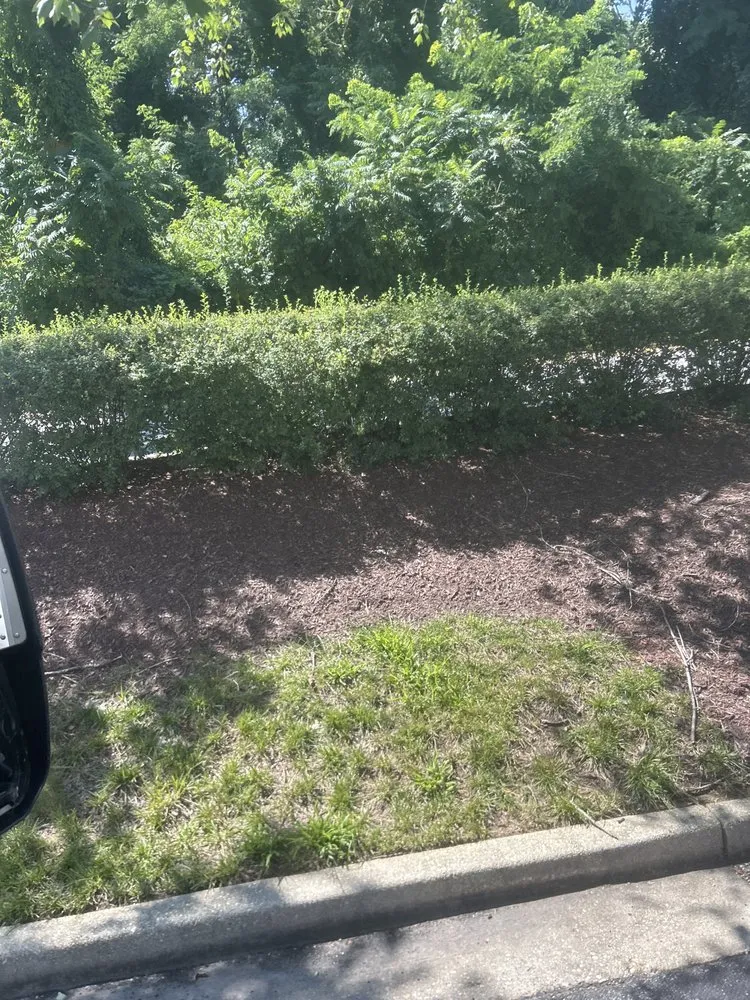 Trusted landscaping services in Baltimore, MD - Fishland Cuts