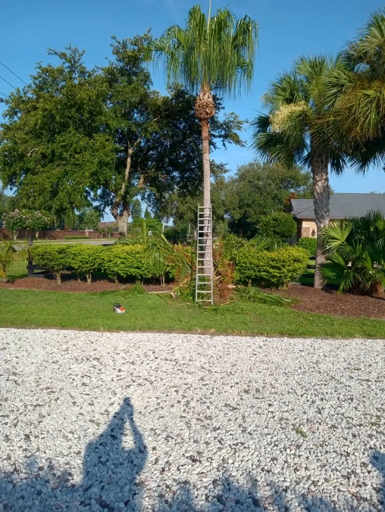 Expert landscaping services in Chuluota, FL by Fishman Landscapes