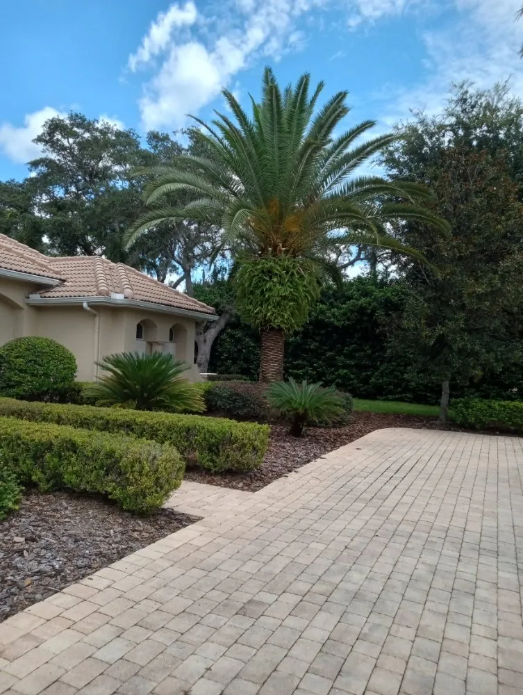 Custom residential landscaping in Chuluota, FL by Fishman Landscapes