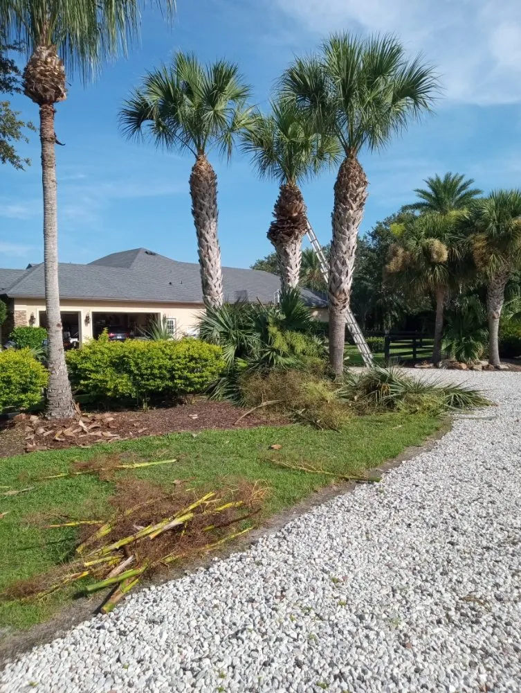 Professional landscape installation in Chuluota, FL by Fishman Landscapes