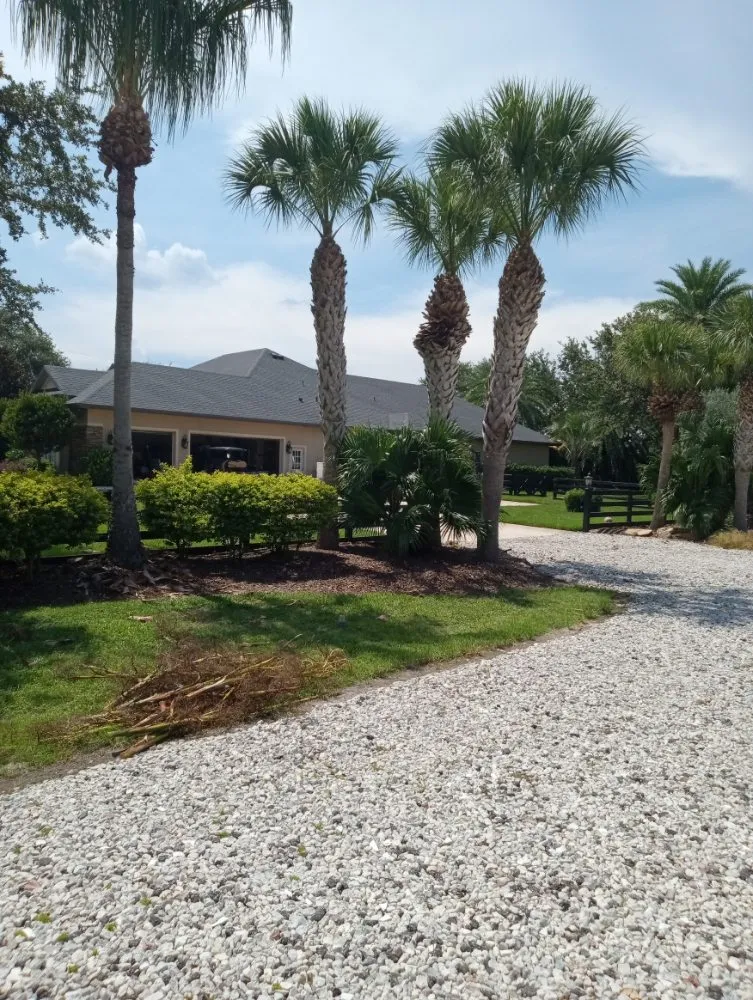 Expert residential landscaping for beautiful yards across Chuluota, FL - Fishman Landscapes