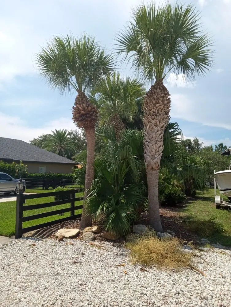 Reliable landscape design experts serving Chuluota, FL - Fishman Landscapes