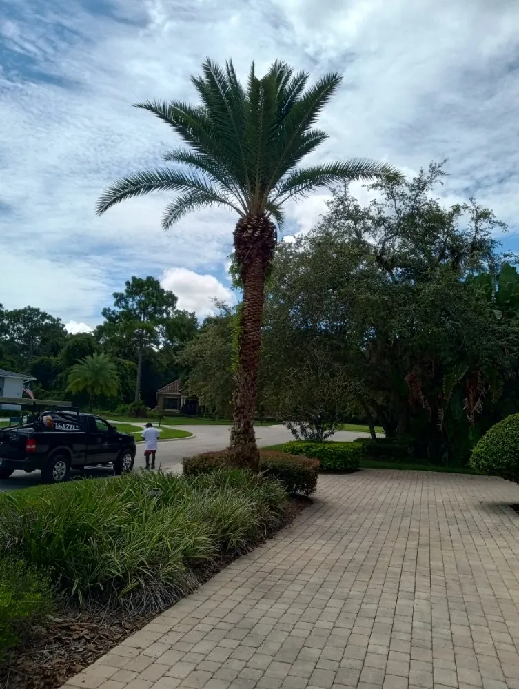Professional garden landscaping in Chuluota, FL - Fishman Landscapes