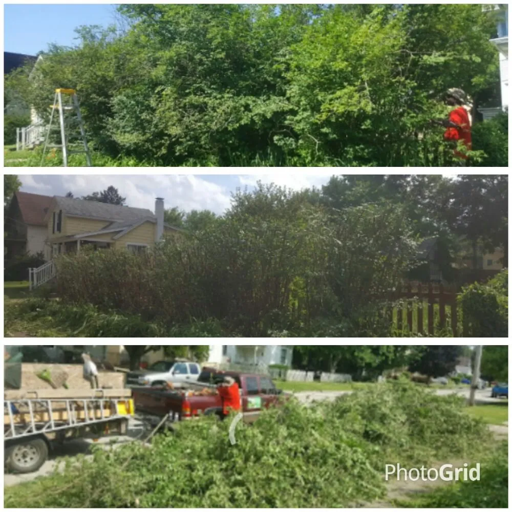 Local landscape design in Rockford, IL - Fish's Lawncare