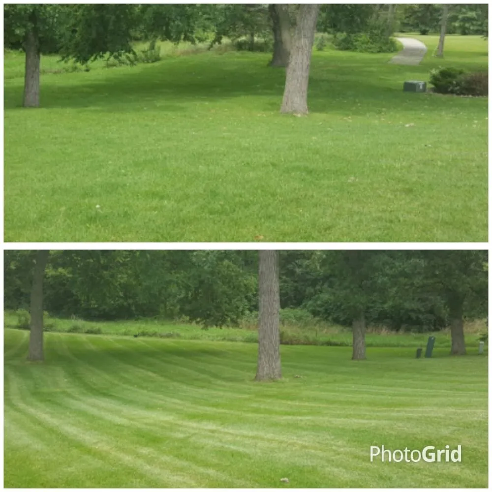 Expert lawn care service for residential properties across Rockford, IL - Fish's Lawncare