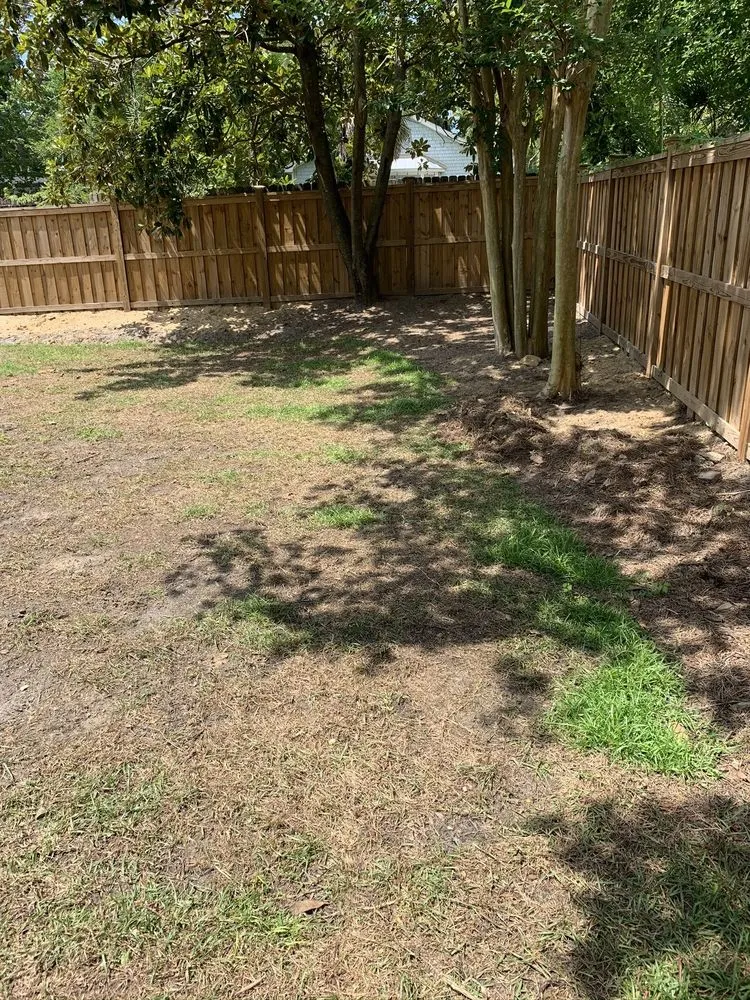 Expert residential landscaping in Wilmington, NC by Fishwater Landscaping