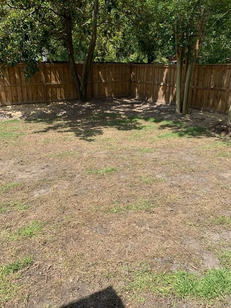 Affordable garden landscaping in Wilmington, NC - Fishwater Landscaping