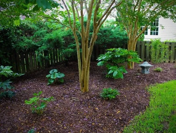 Reliable yard cleanup service with custom design in Wilmington, NC by Fishwater Landscaping