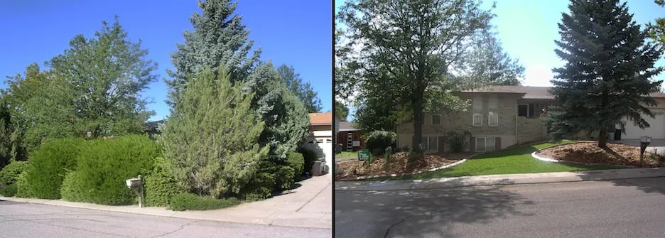 Affordable lawn care service experts serving Colorado Springs, CO - Fisk Lawnscapes
