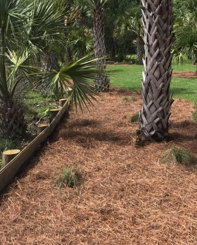 Top-rated lawn care service in Mount Pleasant, SC - Fister Landscapes