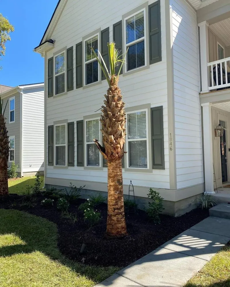 Local yard cleanup service in Mount Pleasant, SC by Fister Landscapes