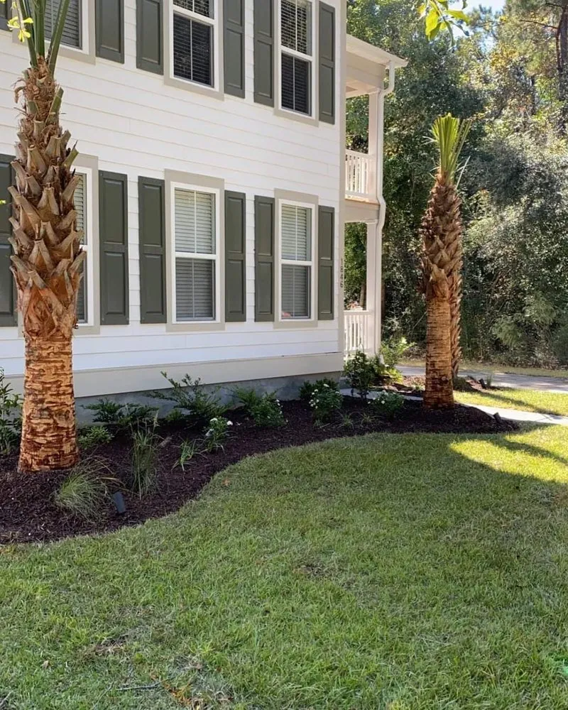 Expert yard maintenance in Mount Pleasant, SC by Fister Landscapes