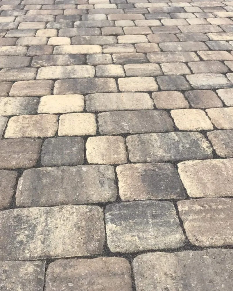 Top-rated garden landscaping for outdoor upgrades across Mount Pleasant, SC - Fister Landscapes