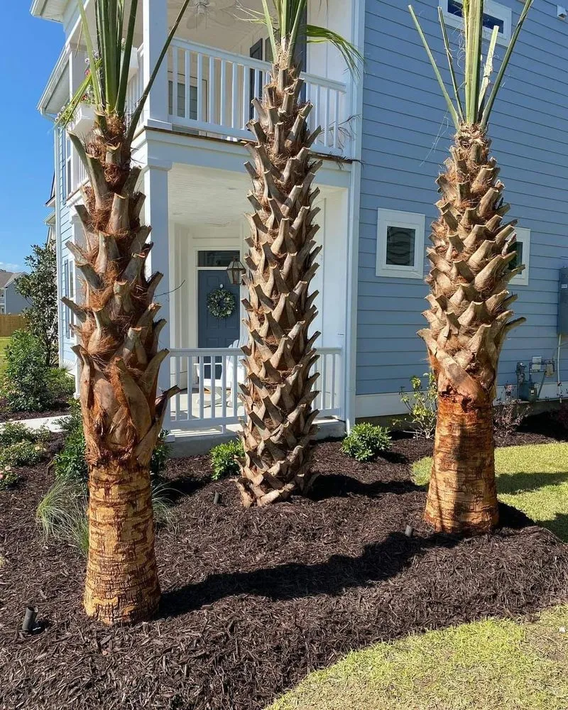 Professional residential landscaping for homes across Mount Pleasant, SC - Fister Landscapes
