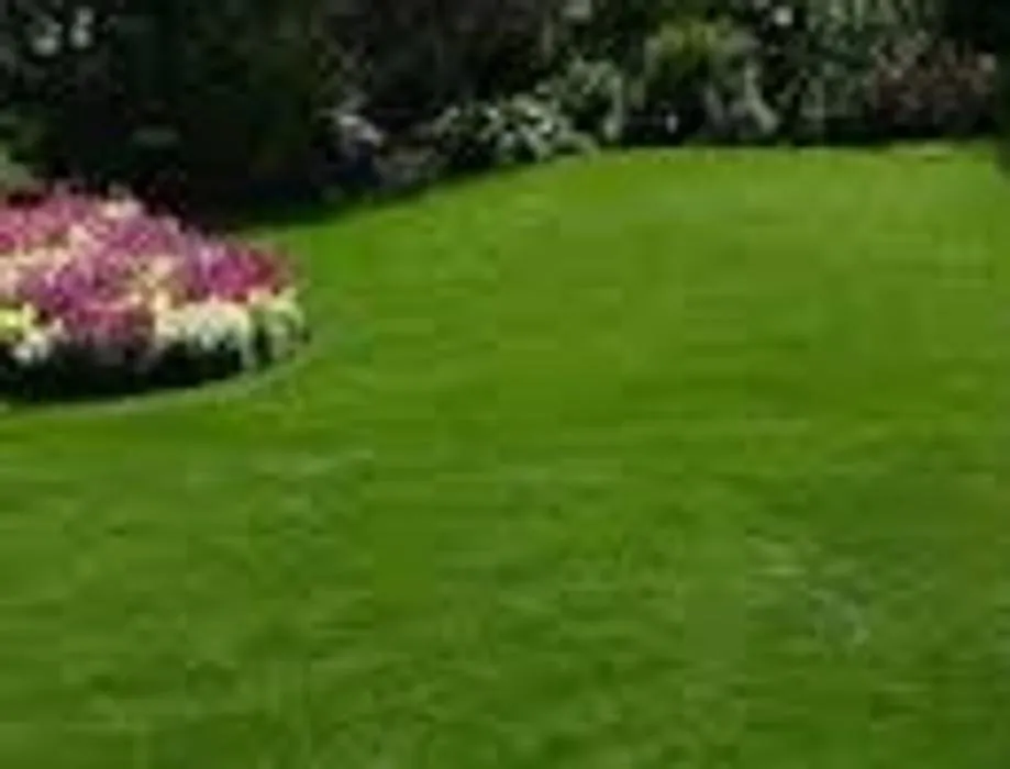 Expert yard cleanup service in Ventnor City, NJ by Fit And Trim Lawns
