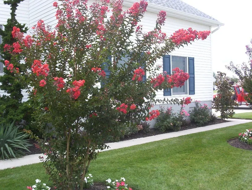 Reliable outdoor landscaping for outdoor upgrades in Ventnor City, NJ by Fit And Trim Lawns