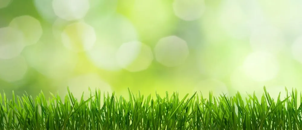 Custom residential landscaping near you in Ocean City, NJ by Fit Lawns Landscaping