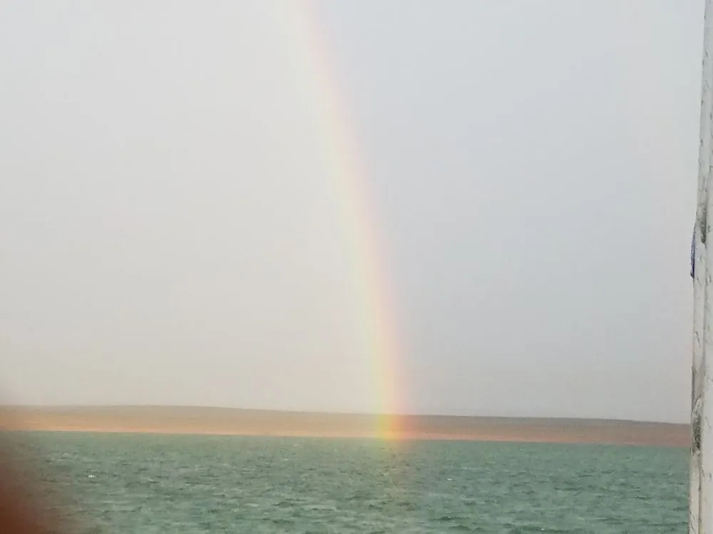 Affordable yard maintenance with custom design in Spring Hill, FL by FIT Services Group