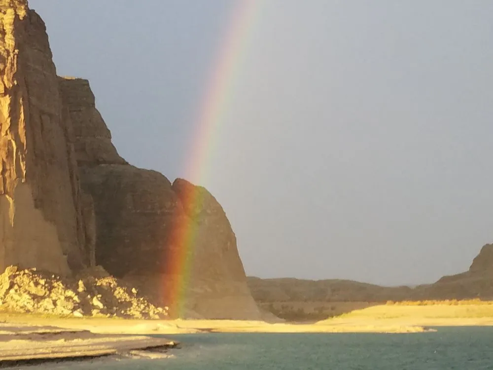 Reliable landscaping services for year-round maintenance across Spring Hill, FL - FIT Services Group