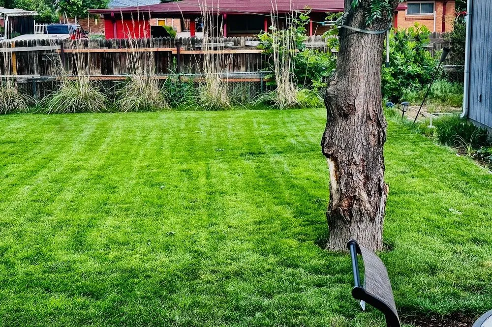 Reliable garden landscaping in Broomfield, CO - Fit Turf of North Denver