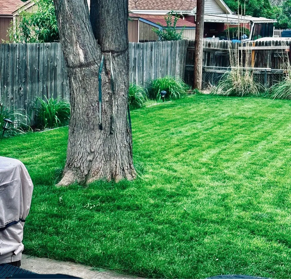 Expert landscape installation with custom design in Broomfield, CO by Fit Turf of North Denver