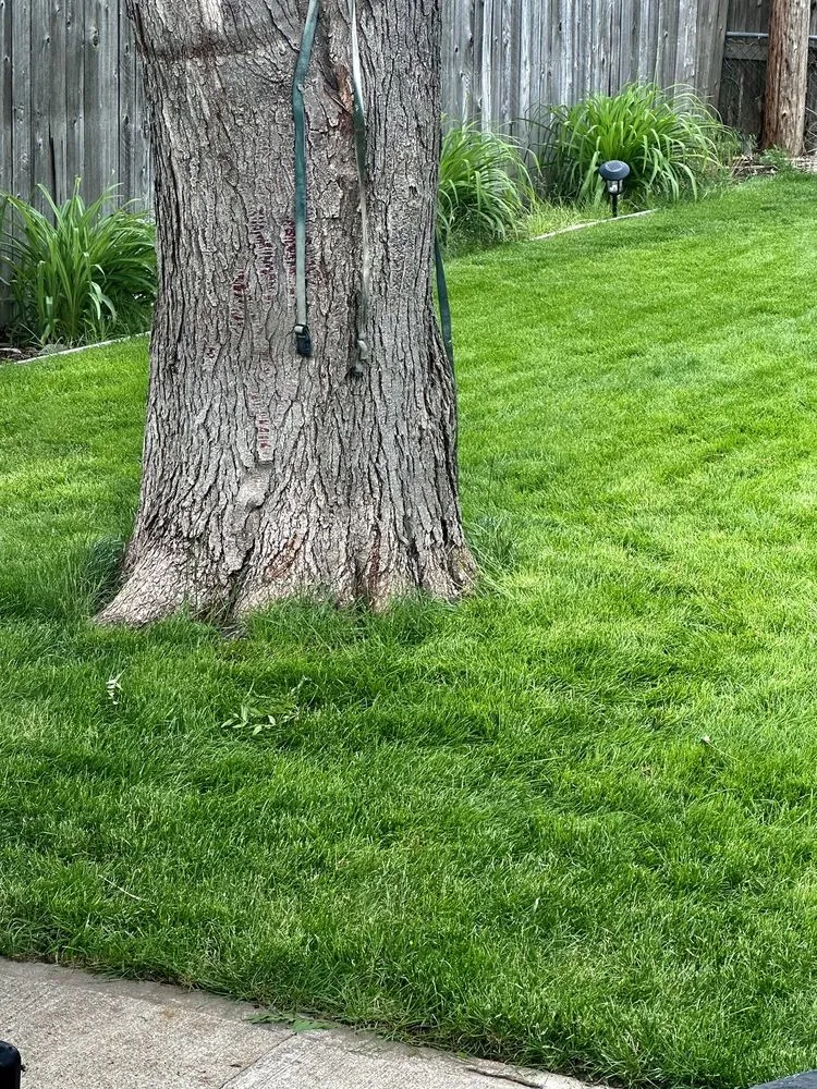 Custom landscape installation in Broomfield, CO by Fit Turf of North Denver