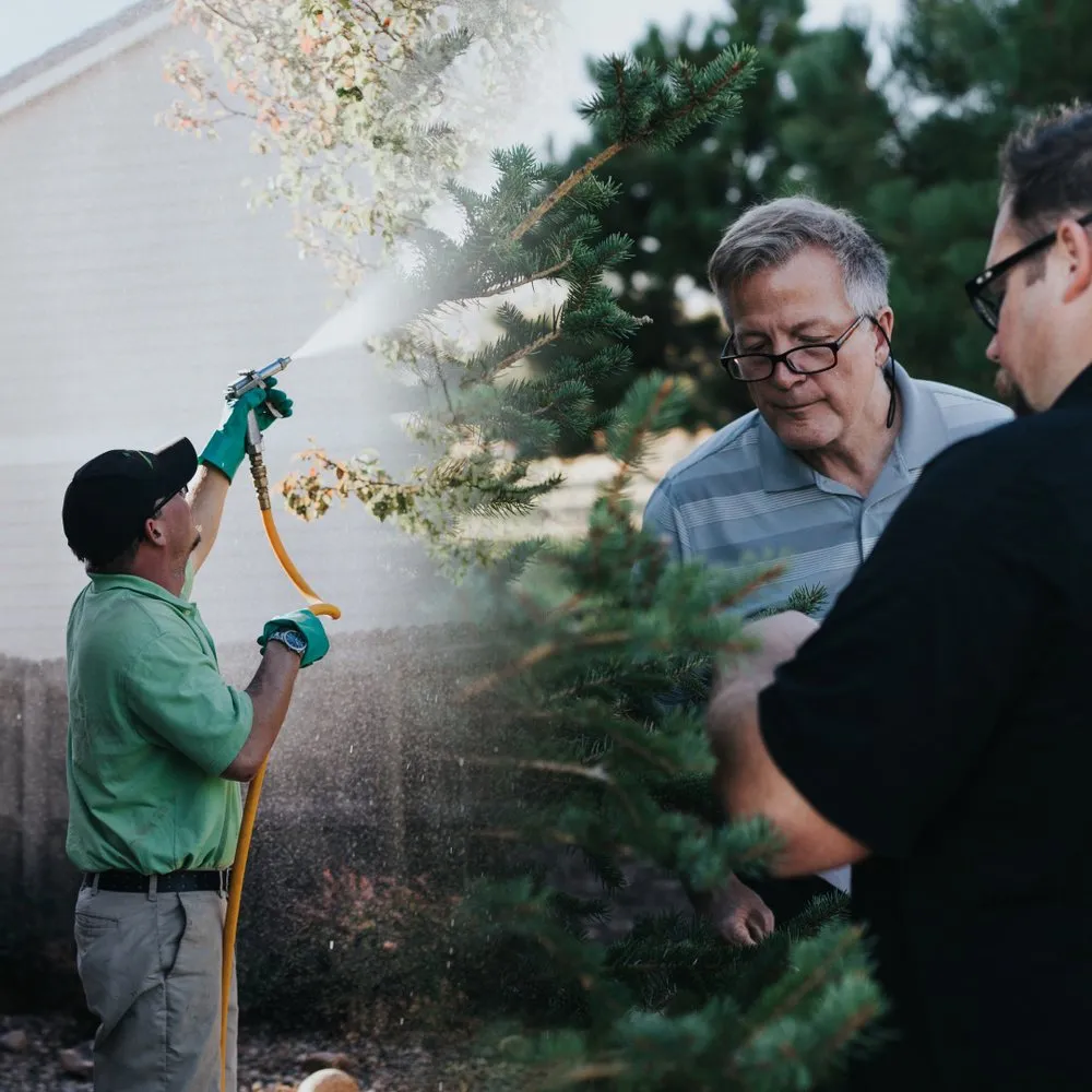 Reliable landscape installation for outdoor upgrades in Broomfield, CO by Fit Turf of North Denver