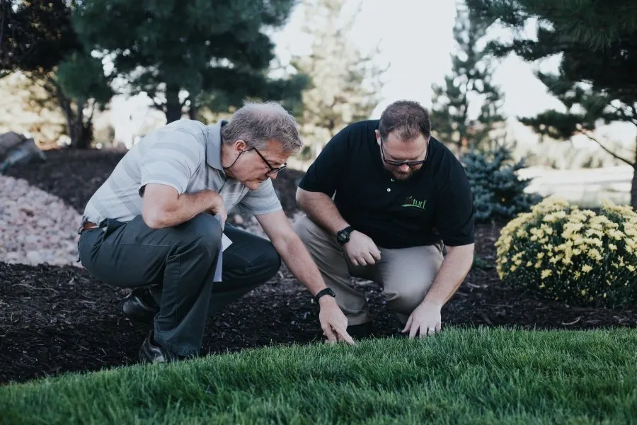 Top-rated yard maintenance for outdoor upgrades in Centennial, CO by Fit Turf of South Denver