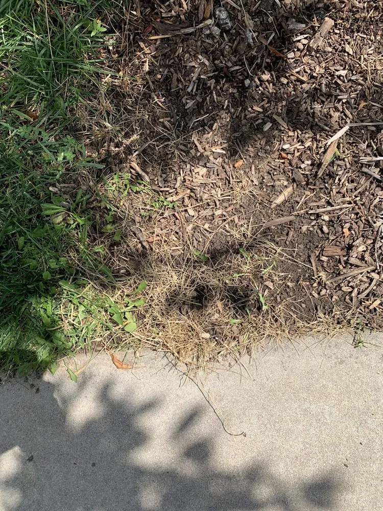 Expert landscaping services for residential properties in Centennial, CO by Fit Turf of South Denver