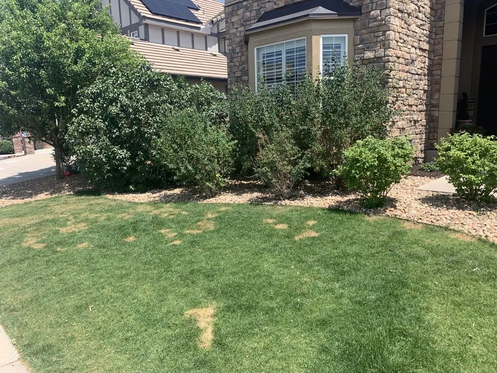 Professional lawn mowing service in Centennial, CO - Fit Turf of South Denver