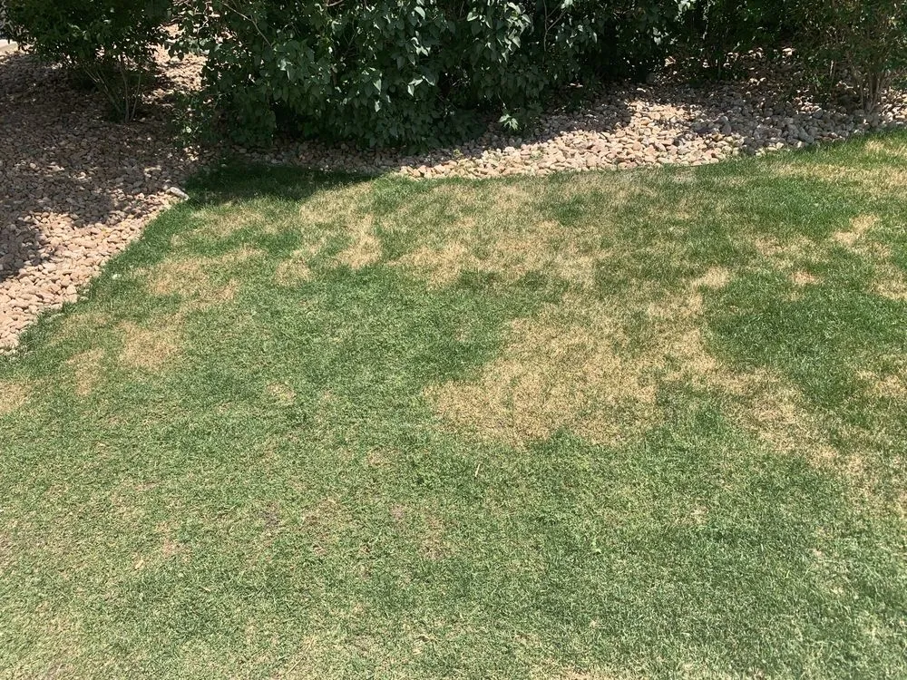 Reliable yard maintenance in Centennial, CO - Fit Turf of South Denver