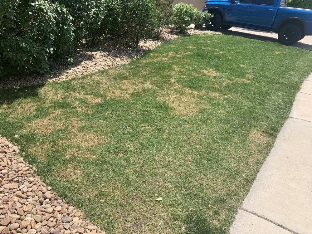 Affordable garden landscaping in Centennial, CO by Fit Turf of South Denver