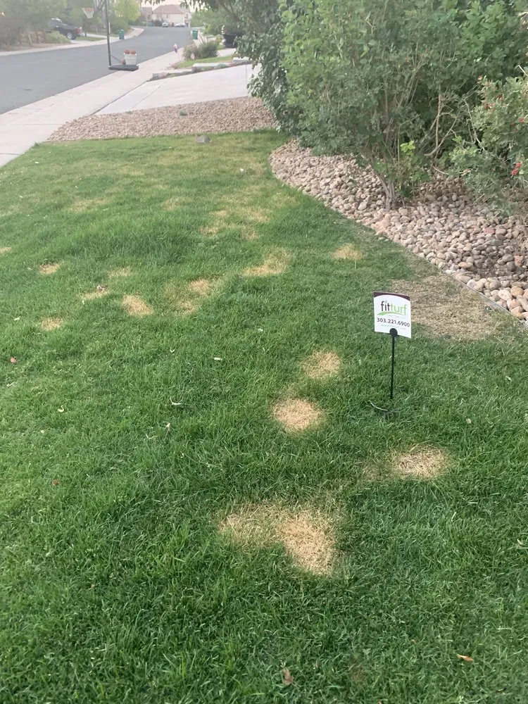 Expert landscaping services in Centennial, CO - Fit Turf of South Denver