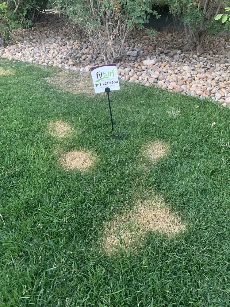 Top-rated landscaping services in Centennial, CO by Fit Turf of South Denver