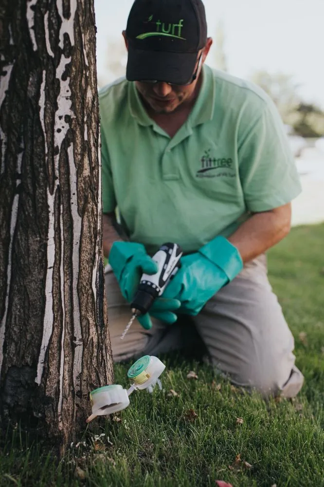 Trusted yard cleanup service in Centennial, CO - Fit Turf of South Denver